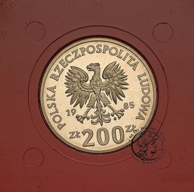 PRÓBA FeNi 200 zł 1985 C. Zdr. Matki Polki st.L