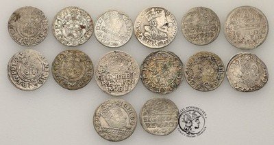 Zygmunt III Waza różne monety srebrne lot 14 sztuk