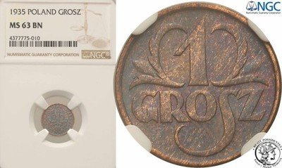 1 grosz 1935 NGC MS63 BN