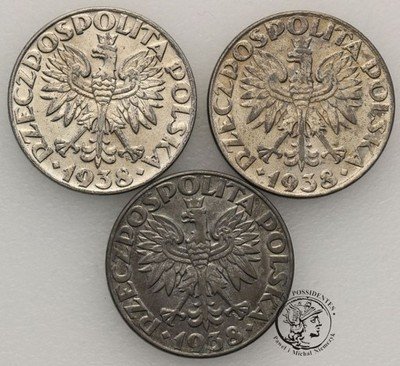 Gen. Gub. 50 groszy 1938 zestaw 3 sztuk st.2-