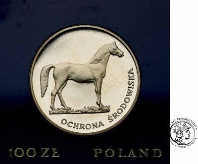 100 złotych 1981 koń st.L