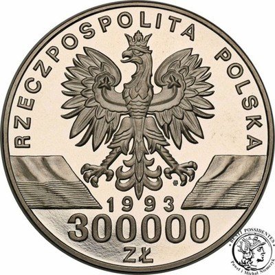 PRÓBA Nikiel 300 000 złotych 1993 Jaskółki st.L