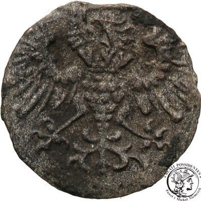 Gdańsk denar 1573 bezkrólewie st.3
