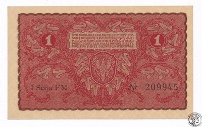 Banknot 1 marka polska 1919 (UNC-) PIĘKNY