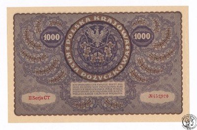 RZADKIE 1.000 marek polskich 1919 (UNC) PIĘKNY