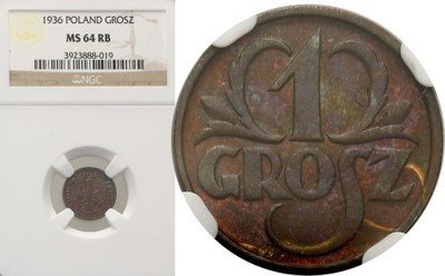 1 grosz 1936 NGC MS64 RB