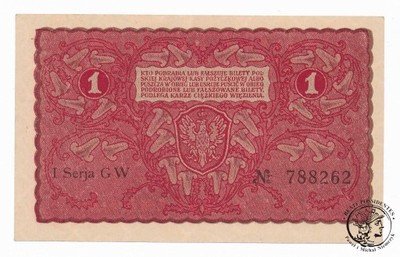 Banknot 1 marka polska 1919 (UNC) PIĘKNY
