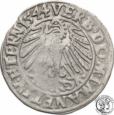 Śląsk Fryderyk II grosz 1544 Legnica st.3