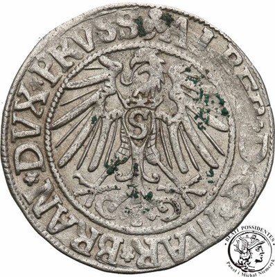 Prusy Książęce Albrecht grosz 1543 Królewiec st.3+