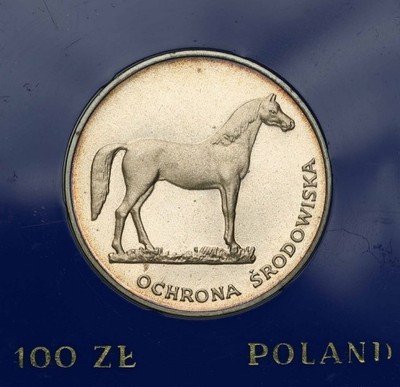 100 złotych 1981 koń st.L/L-