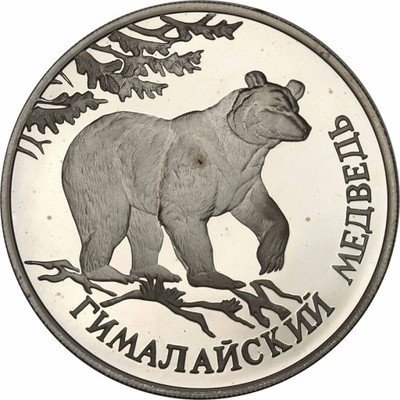 Rosja rubel 1994 Niedźwiedź himalajski st.L-