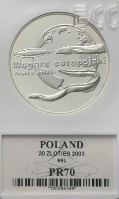 20 złotych 2003 Węgorz Europejski PR70