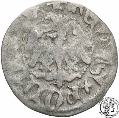 Władysław Jagiełło 1386-1434 półgrosz Kraków st.3