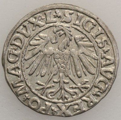 Zygmunt II August półgrosz 1547 Wilno st.1