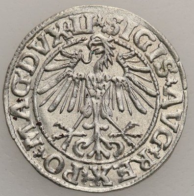 Zygmunt II August półgrosz 1549 LI/LITVA st.1