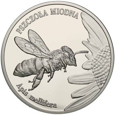 20 złotych 2015 Pszczoła Miodna st.L