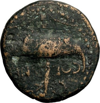 Rzym Agryppa AE-26 9-3 pne Nemausus (Nimes) st.4