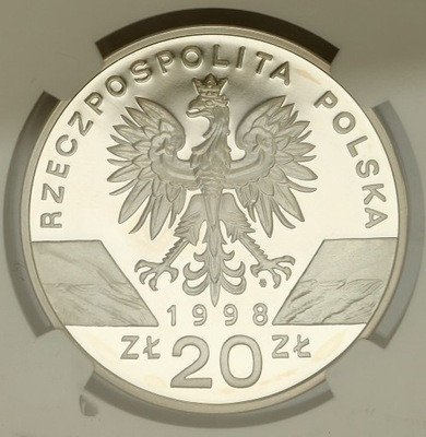 20 zł 1998 Ropucha Paskówka NGC PF68 ULTRA CAMEO