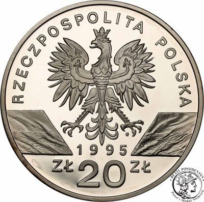 20 złotych 1995 Sum st.L-