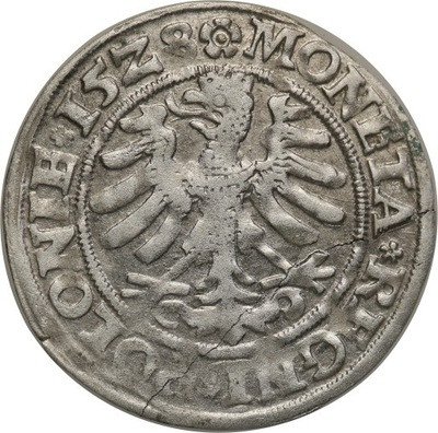 Zygmunt I Stary grosz 1528