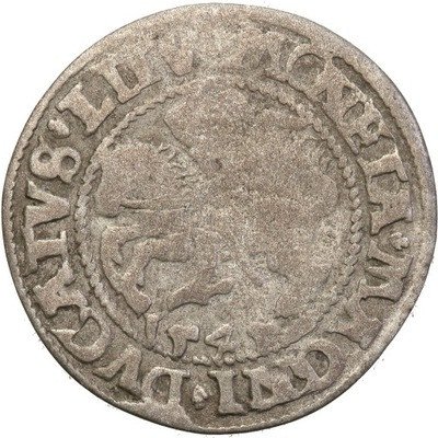 Zygmunt II August, Półgrosz 1545 Wilno RZADKOŚĆ R7