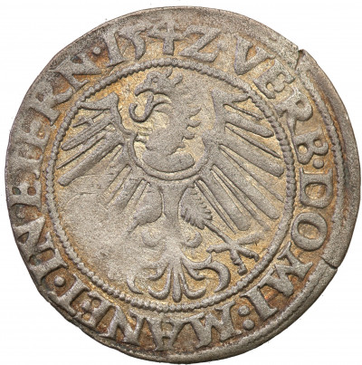 Śląsk grosz 1542 Księstwo Brzesko-Legnickie st.2