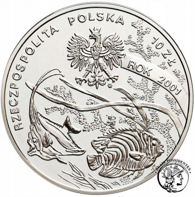10 złotych 2001 Michał Siedlecki st.L