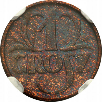 II RP 1 grosz 1935 NGC MS64 BN