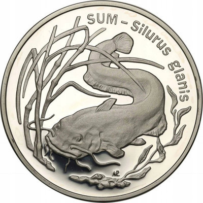 20 złotych 1995 Sum st.L