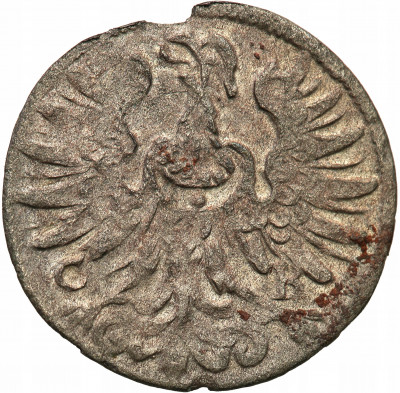 Śląsk grosik 1673 Brzeg St.3+