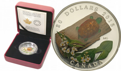 Kanada 20 dolarów 2015 żółw st.L