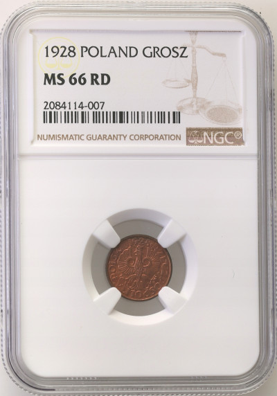 II RP 1 grosz 1928 NGC MS66 RD (MAX)
