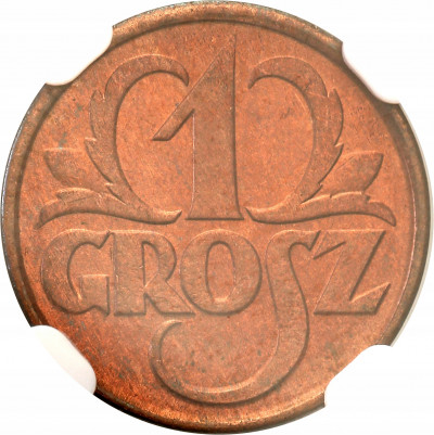 II RP 1 grosz 1928 NGC MS66 RD (MAX)