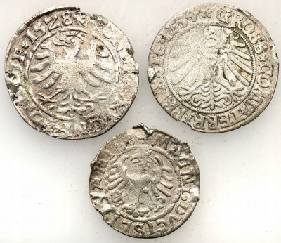 Zygmunt I Stary monety srebrne 3 szt. st.3