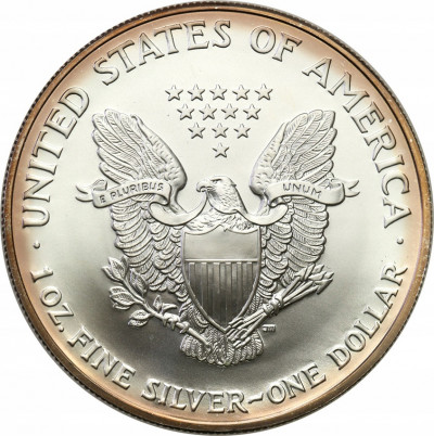 USA 1 dolar 2004 (uncja srebra) st.1
