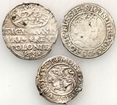 Zygmunt I Stary monety srebrne 3 szt. st.3