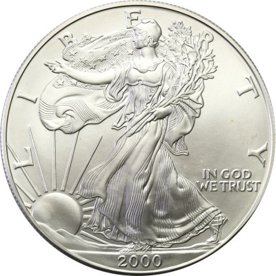 USA 1 dolar 2000 (uncja srebra) st.1
