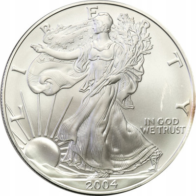 USA 1 dolar 2004 (uncja srebra) st.1