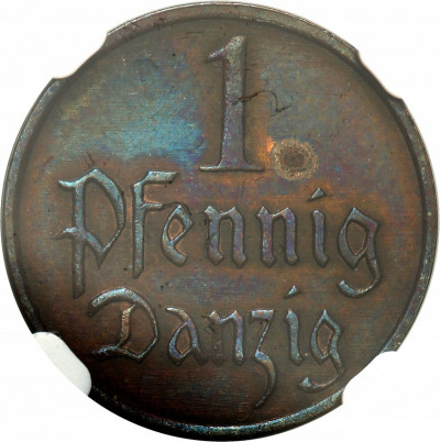 WM Gdańsk Danzig 1 Pf 1930 NGC UNC Details