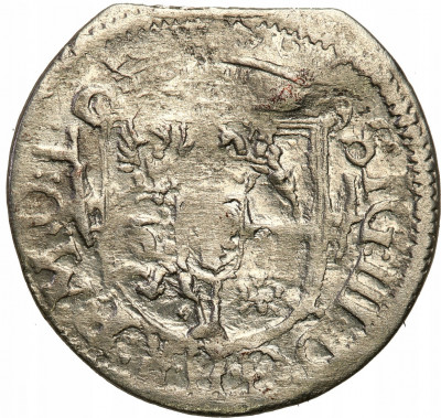 Zygmunt III Waza Półtorak 1619 Wilno - RZADKOŚĆ R6