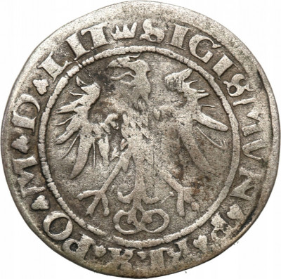 Zygmunt I Stary. Grosz 1536, Wilno