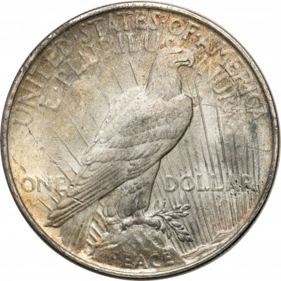 USA dolar 1922 Liberty st.1/1- PIĘKNY