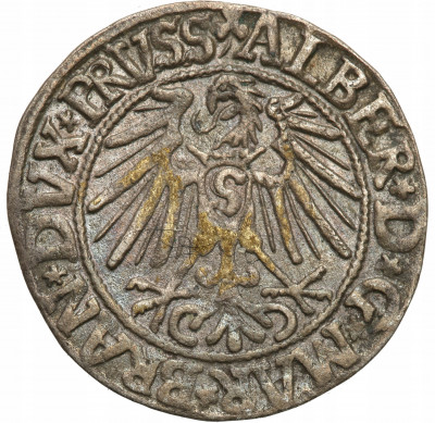 Prusy Książęce Grosz 1546 Królewiec