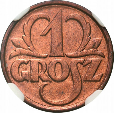 II RP 1 grosz 1928 NGC MS66 RD (MAX)