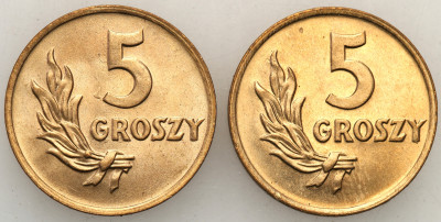 5 groszy 1949 brąz - 2 sztuki z rulonu - st.1