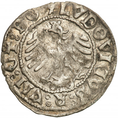 Polska Ludwik półgrosz świdnicki 1521 st.3+