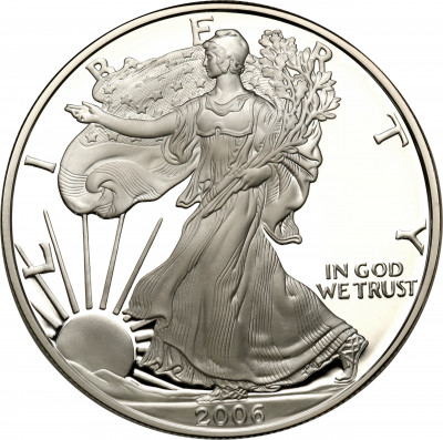 USA. 1 dolar 2006 American Eagle (uncja srebra)