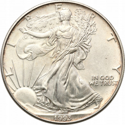 USA 1 dolar 1993 (uncja srebra) st.1