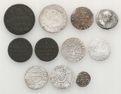Europa, Polska. Zróżnicowany zestaw 11 monet