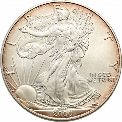 USA 1 dolar 2000 (uncja srebra) st.1